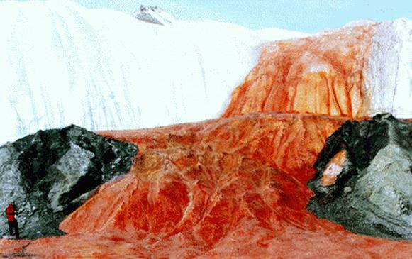 Krvavý ledovec z něhož nitra proudí červená voda