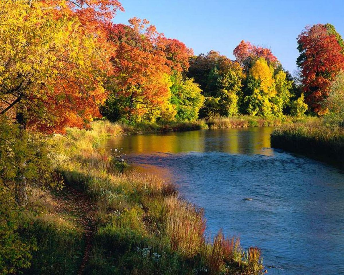 Indiánské léto na břehu řeky a krásně zbarvené listí