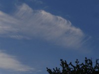 Cirrus