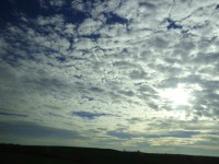 Stratocumulus