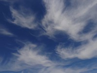 Cirrus uncinus intortus