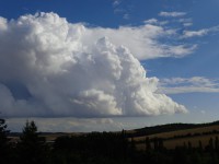 Cumulus congestus