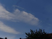 Cirrus uncinus