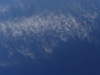 Cirrocumulus lacunosus