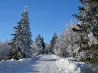 Šerlich zimní cesta
