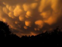 Mammatus