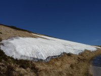 jaro v Krkonoších