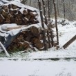 Sníh se dřevem