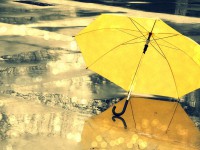 8 zajímavých faktů o deštnících