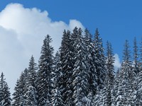 Výhled počasí na příští týden, teploty okolo 0 °C