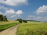 Teploty nad 25 °C vydrží po celý příští týden