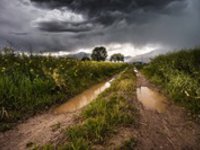 Výhled počasí na příští týden, teploty do 25 °C