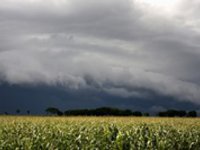 Pozor na vydatnější srážky a ochlazení o 10 °C