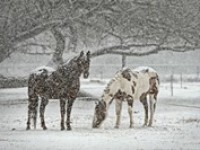 Výrazně se ochladí, ve dne k 10 °C a na horách začne sněžit