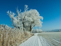 Vrátí se mrazivé noci a od vyšších poloh sněžení