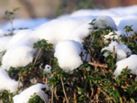 Zima povolí, teploty porostou k 5 °C