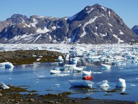 Arktického mořského ledu je nejméně od počátku měření