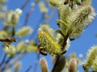 Víkend přinese teploty okolo 20 °C