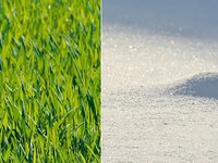 Jaro 2013 vs. 2017