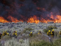 Výzkum ukazuje, že lidé jsou přímo zodpovědní za 84 % požárů ve volné přírodě USA