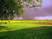 O víkendu 20 °C a přes den přeháňky a bouřky 