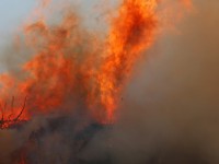 Jižní Evropa bojuje s požáry