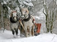 S Martinem dorazí ochlazení a do vyšších poloh přinese sníh