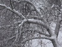 Česko se dočkalo větší sněhové nadílky, místy napadlo až 15 centimetrů sněhu