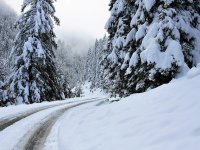 Naše území bude ovliňovat tlaková níže z Jadranu