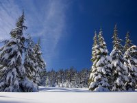 Ojediněle napadlo přes 25 cm sněhu, zítra se vyjasní