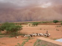 Sahara se rozšiřuje následkem klimatických změn
