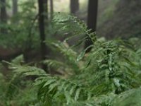 O víkendu zpočátku přeháňky a teploty nad 20 °C