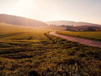 Zítra bude až 32 °C, pak se mírně ochladí