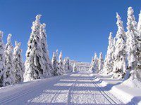 V noci až -12 °C a bez výraznějšího sněžení