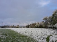 Stabilní jaro v nedohlednu