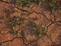 Hrozivé sucho se ještě prohloubí