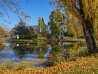 Spadne-li v říjnu listí, bude mokrá zima