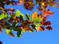 Teploty porostou na 20 °C, na začátku týdne však mráz