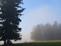 O víkendu 20 °C a ranní mlhy