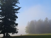 O víkendu 20 °C a ranní mlhy