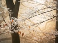 Chladný víkend přichází, v neděli ráno teploty klesnou na -7 °C
