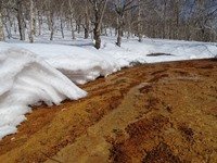 Na konci týdne maxima do 11 °C