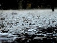 Začátek února až s 13 °C