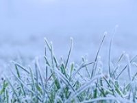 Ráno zpočátku -8 °C, ke konci týdne opět 10 °C