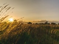 Čeká nás vrchol léta, teploty okolo 30 °C