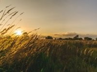 Čeká nás vrchol léta, teploty okolo 30 °C