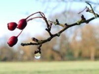 Teploty ve středu okolo 10 °C