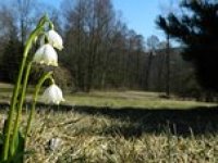 Víkend s maximy okolo 20 °C