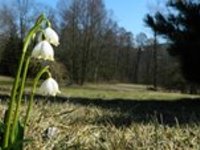 Víkend s maximy okolo 20 °C