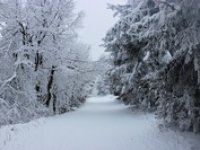 Sníh bude poletovat i během týdne